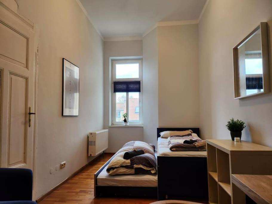 4 Raum Wohnung Mit Balkon Auf 120Sqm In Top Lage Дрезден Екстер'єр фото